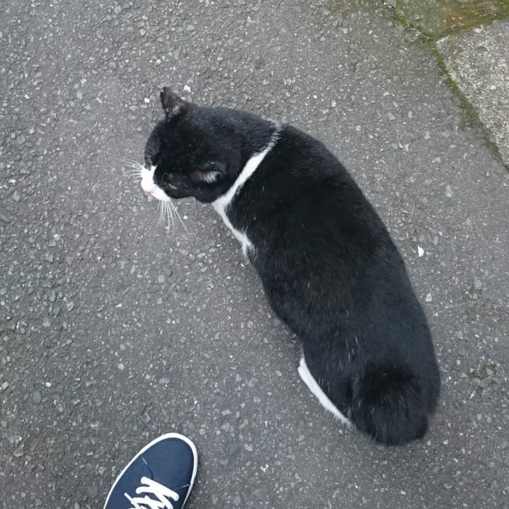 95c925cb fdee 410b ad90 f45e09baabb7