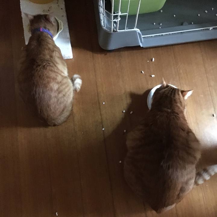 95c94cb6 3eef 4765 837f a02023ef4158