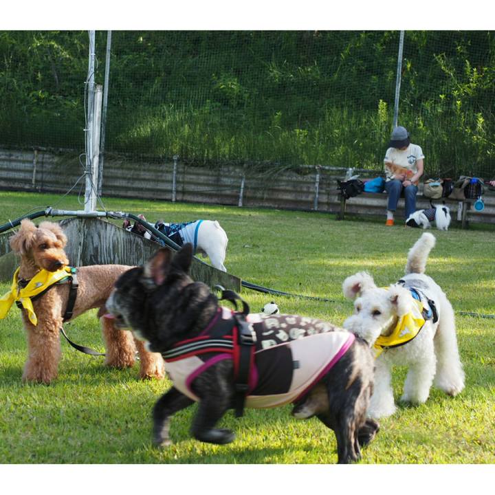 95ca5e2b ebe8 4d6d 9169 dffab3ef50b5