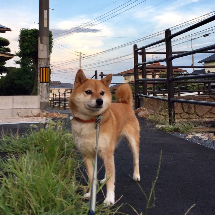 95cac540 c254 42c3 af0d ea1f9caaeb41