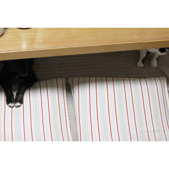 95cae202 0c4f 4f21 9f8c 2d8d55089a70