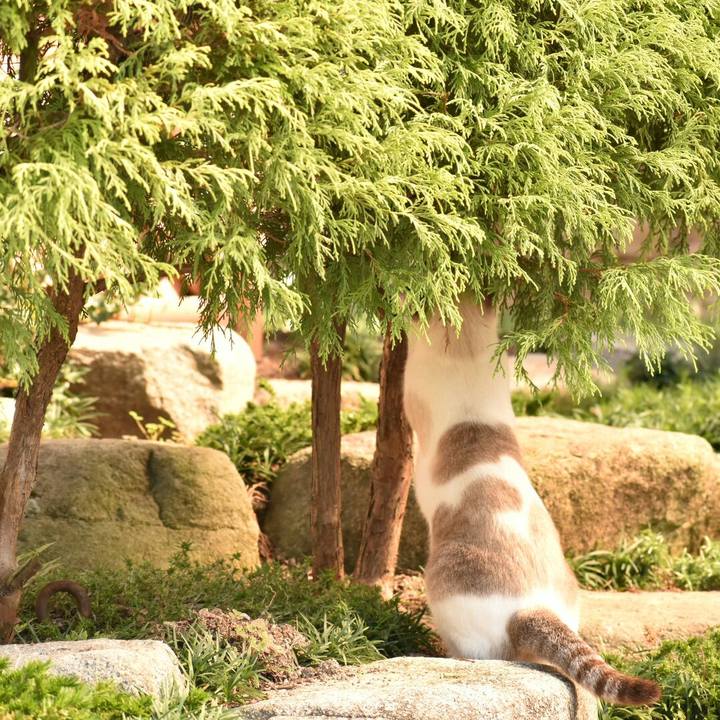 95cb757e b265 4e62 9442 23e7d8a1c917