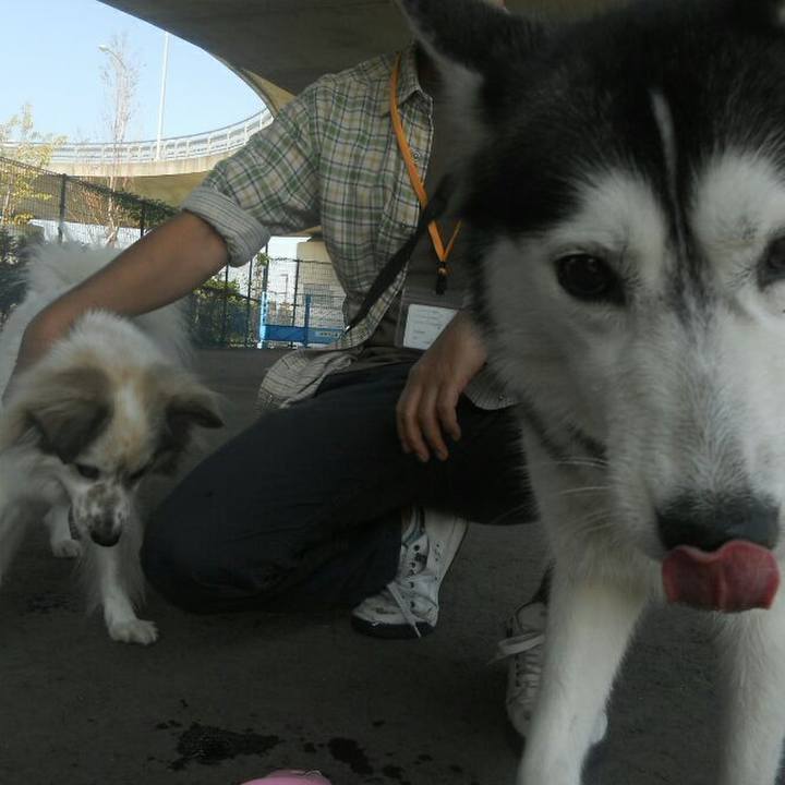 95cbdc81 67ea 4b21 a5e6 c1d16f33f806