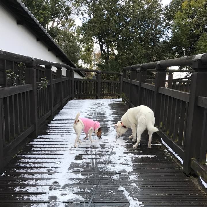 95cbfbfe e29a 4010 b347 e9568e2e92ca