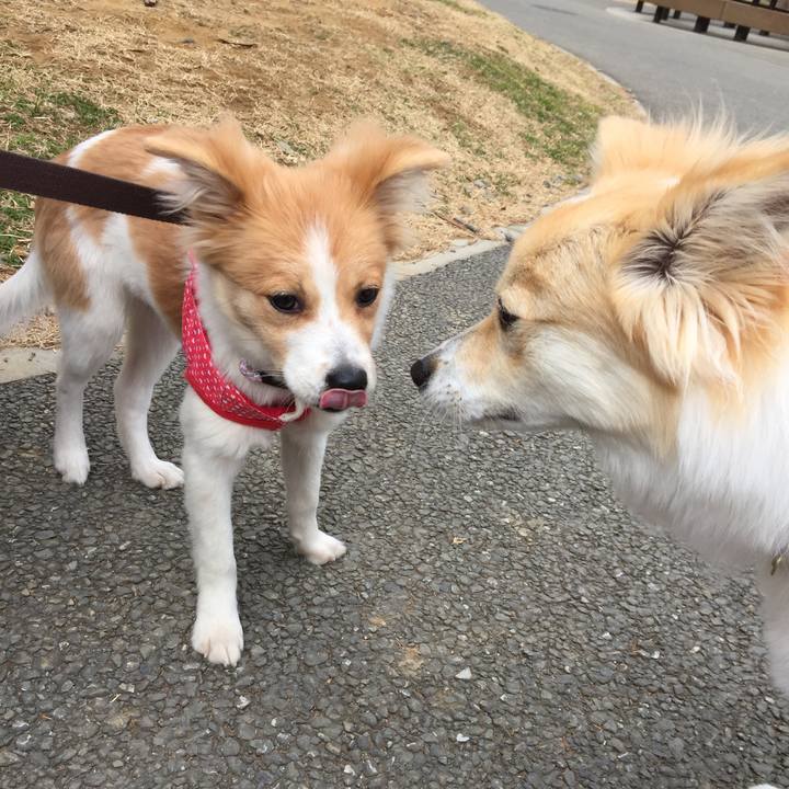 95cc4b06 55c6 42c0 9c12 ddeca142aa8e