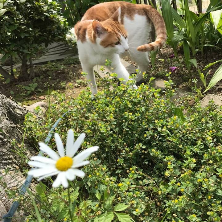 95cc6974 0814 45ca 8d13 0ef7303ff49e