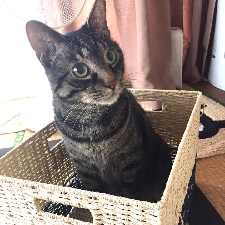 95ccaa2a fa7f 461f 82f4 6be237541cb7