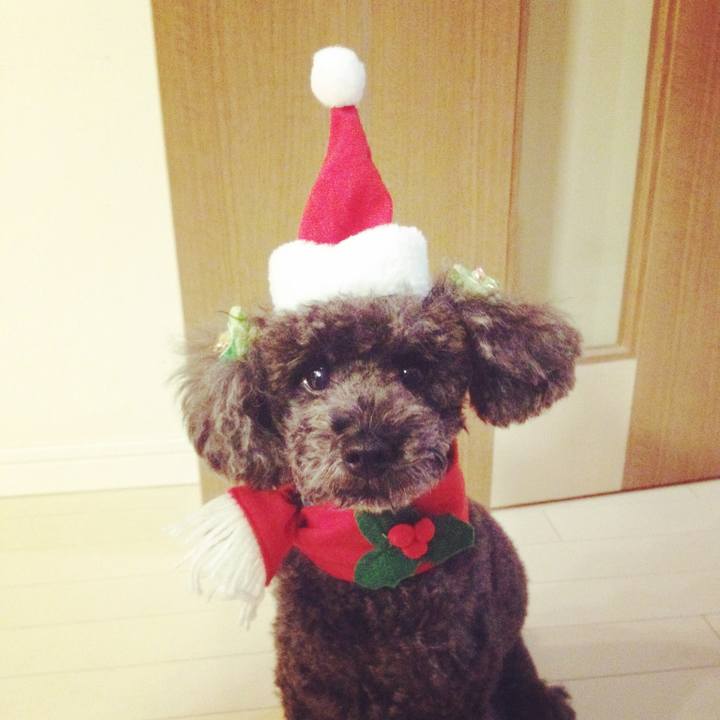 95cd5733 975d 4d39 ae47 d8249945264a