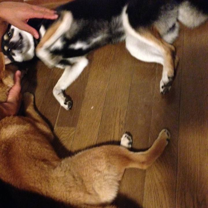 95cdb29c d931 4888 9024 07796f557161