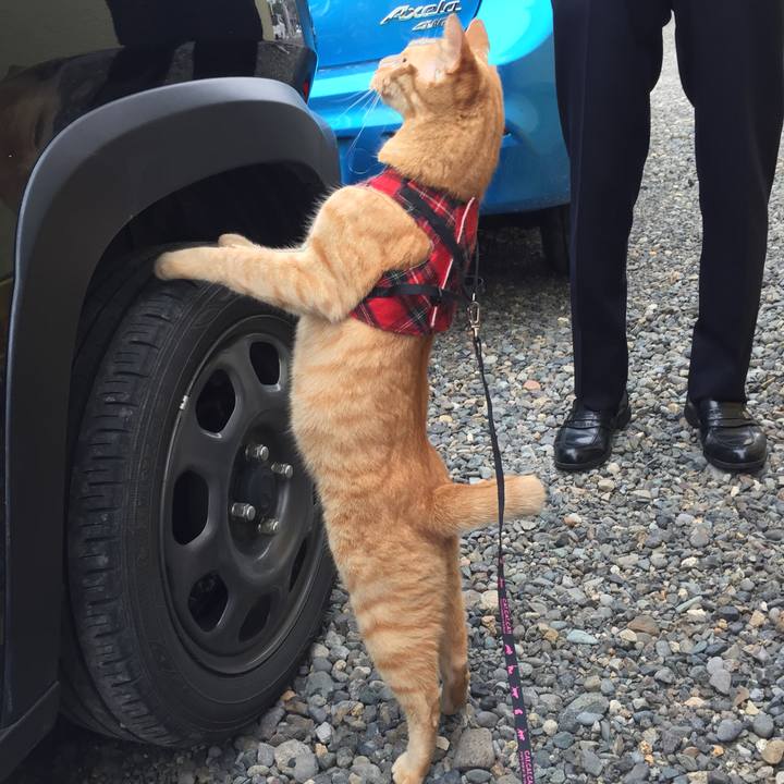 95cdb350 f99b 4dab 9c05 3f40dba02fd7