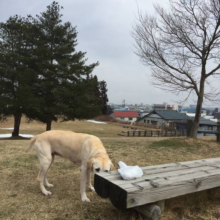 95cdd77f e308 4b0b b76f 5f2bdc6b87ba