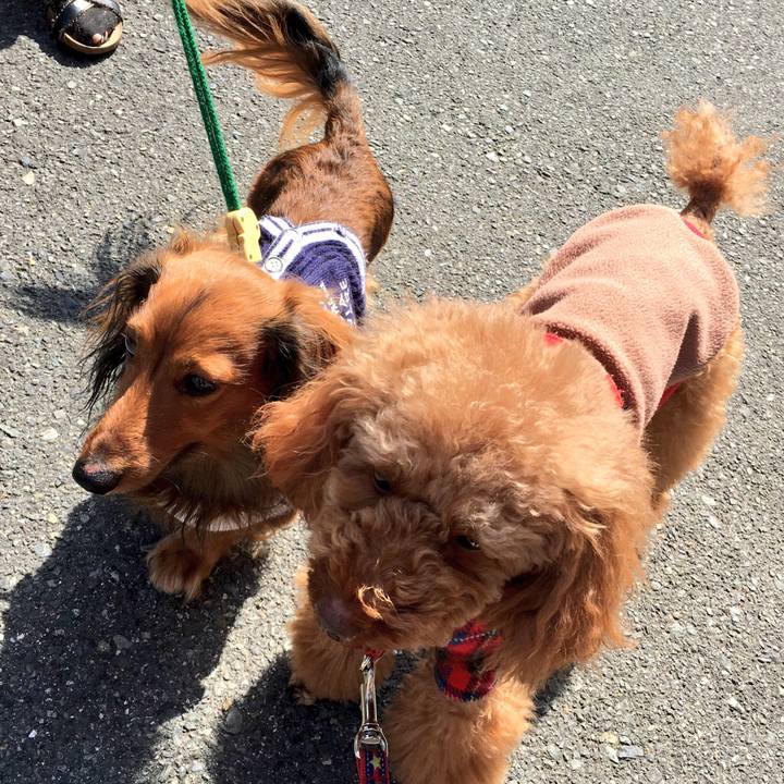 95ce5894 a337 4d33 80d5 9ffacf578489