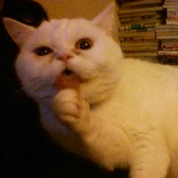 95cebc24 f6a8 41ca babb 148d2ec88dd2