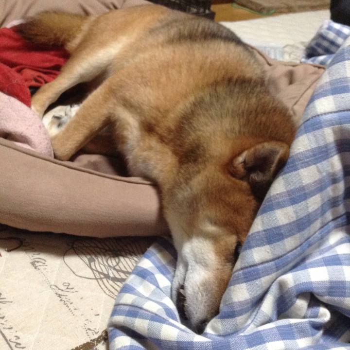 95cf5753 443f 4afb 9db4 0b76f05cecc2