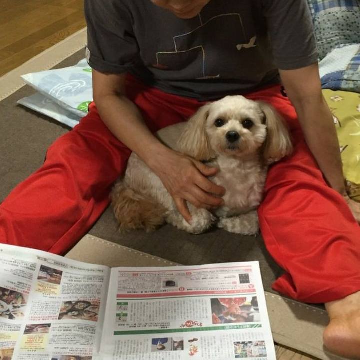 95cfbead c811 43e8 963d 76801fc9b856