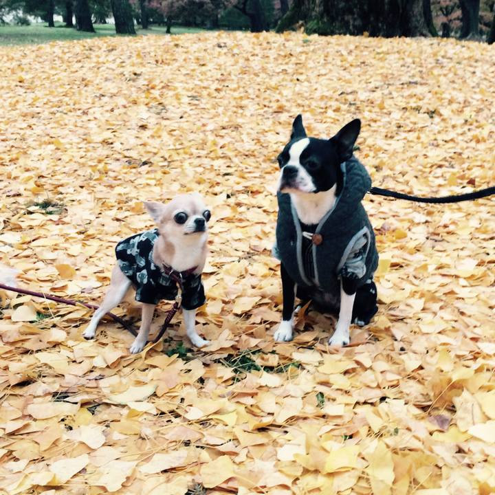 95d15230 be6c 44ea 8640 5d2b67324c92