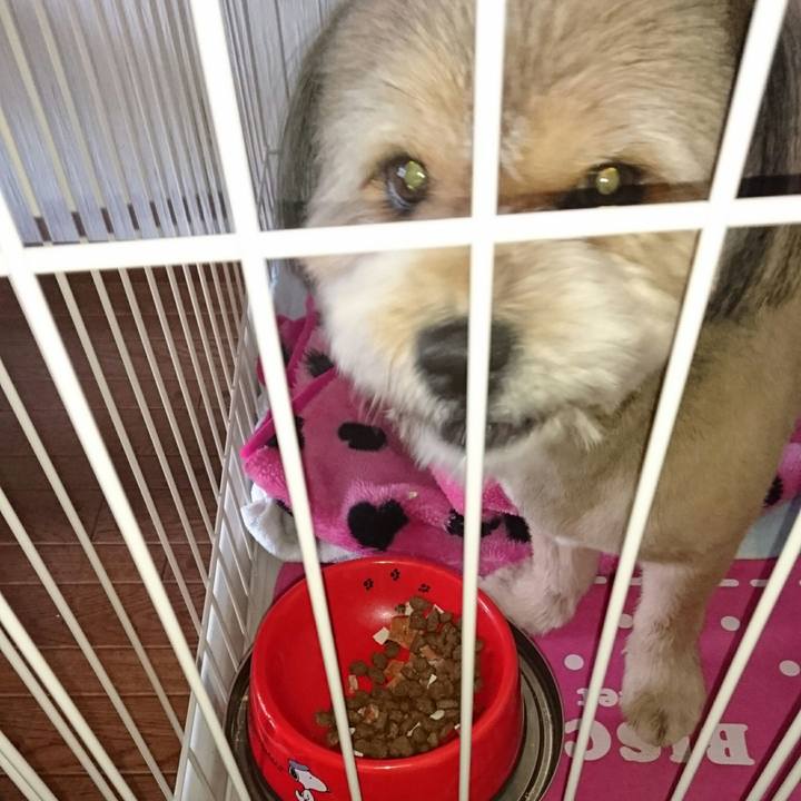 95d19b0f 0991 4bff a48e 8c4bd0967fea