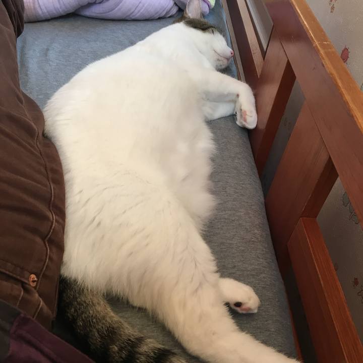 95d224f6 4c8b 44eb 8f92 c53fd43dde3b