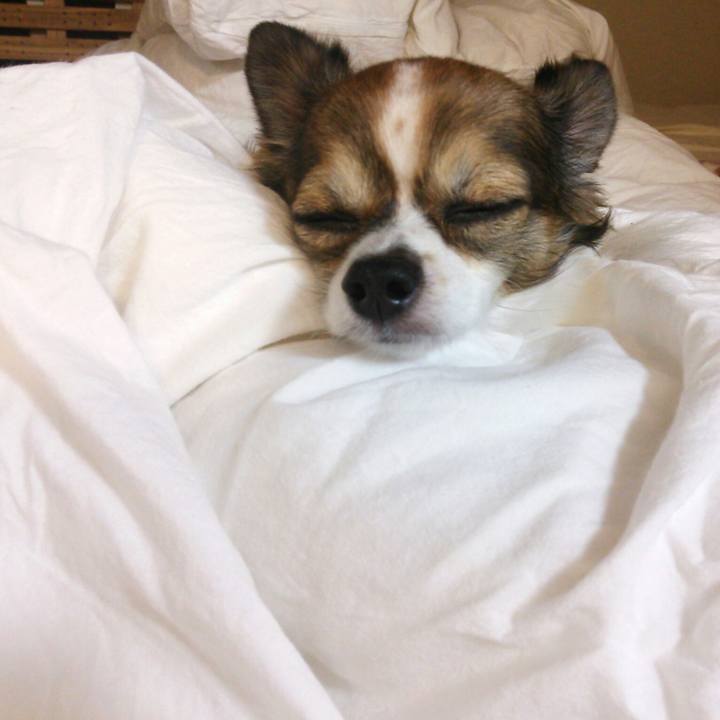 95d2280b 206a 4979 8e7b a544f54e4041