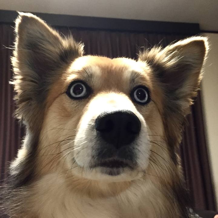 95d319d1 0174 4356 ae4f 5c9fc56b210e