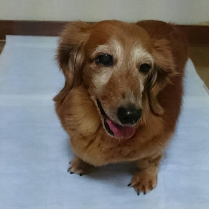 95d336b7 0b54 4642 8715 8a53779c9d69