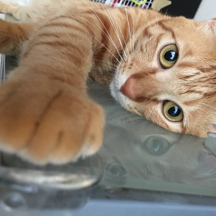 95d3d01c 3d59 40b7 b0c9 4c7a1757eb79