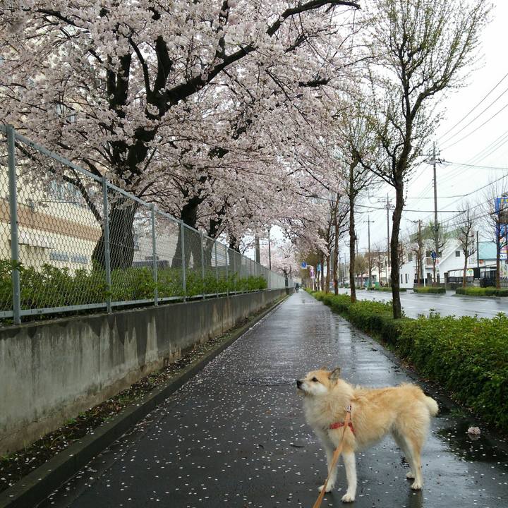 95d3f2c7 0206 431e 91de 32d96566437a