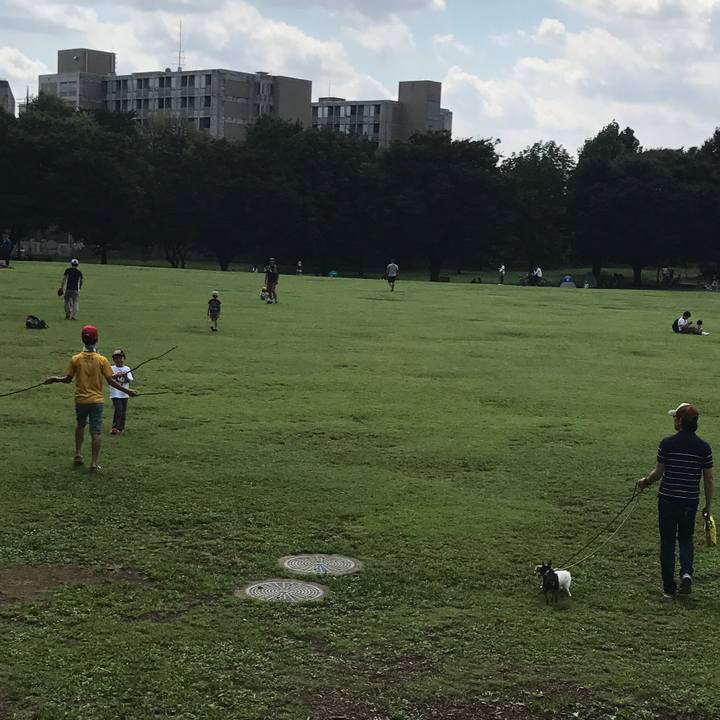 95d41bb6 c062 4863 a722 a971fa190aa1