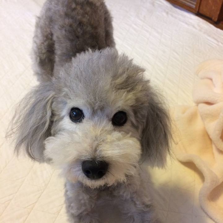 95d49110 624d 4d4d b26f 1adadaf29be4