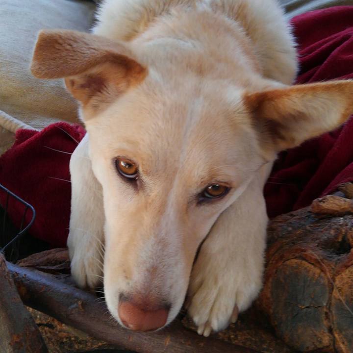 95d499c0 3ab5 4c2f 8a47 b06933a49b45