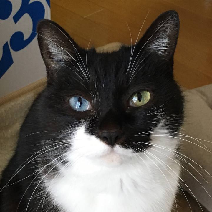 95d5ada0 9d82 4f77 9a21 81b603df36f3