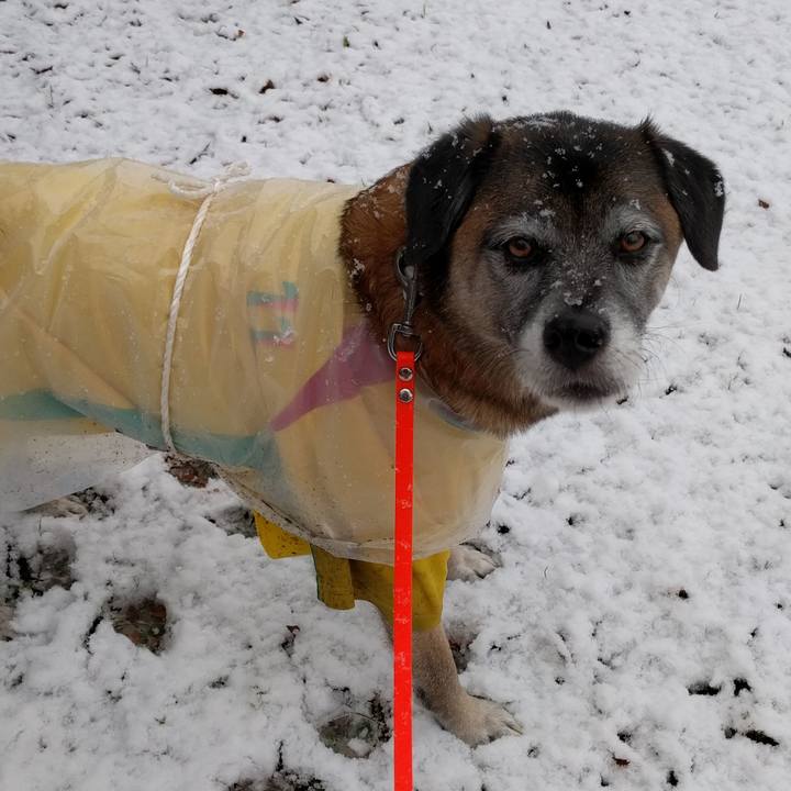 95d63571 1518 47c1 a32a ad3dd33e0bd1