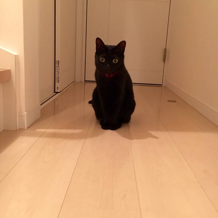 95d66d42 d3af 4c26 b942 e0fc5711a09b