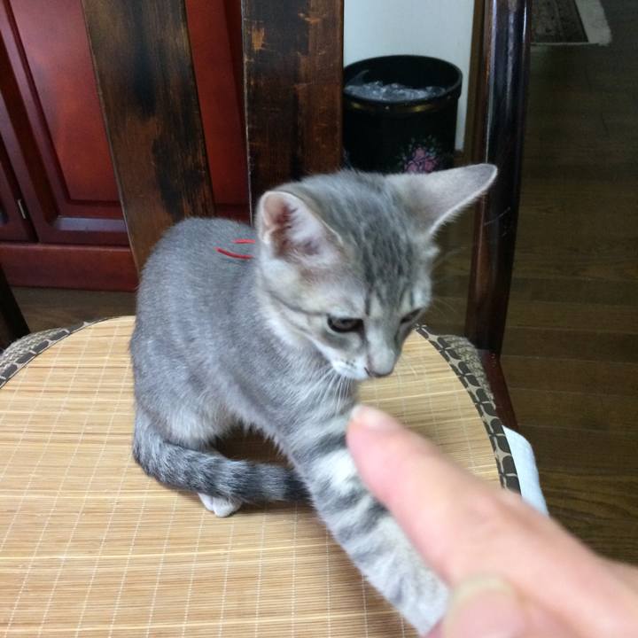 95d69fe1 c9d7 4237 97a1 6f78e3215e18