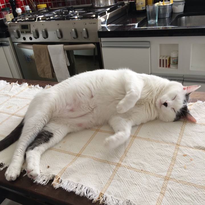 95d6f02f bd54 4f9f 9149 05857dff2f93