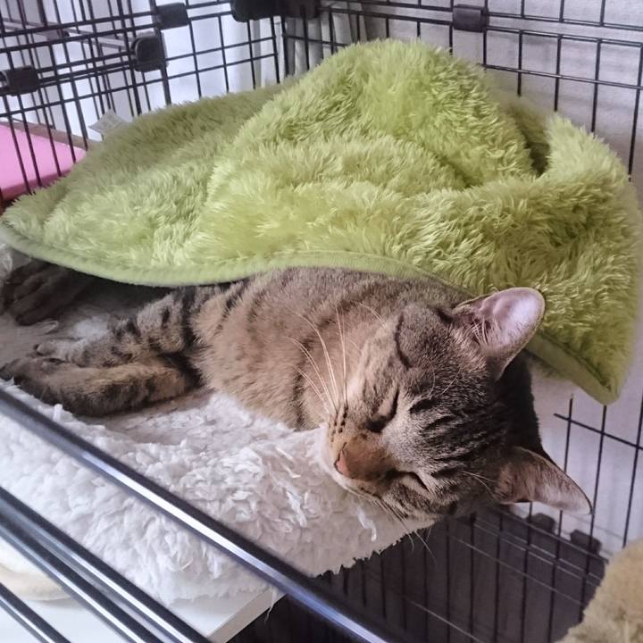 95d7a76a c54c 4fa7 94d7 388b843d2f29