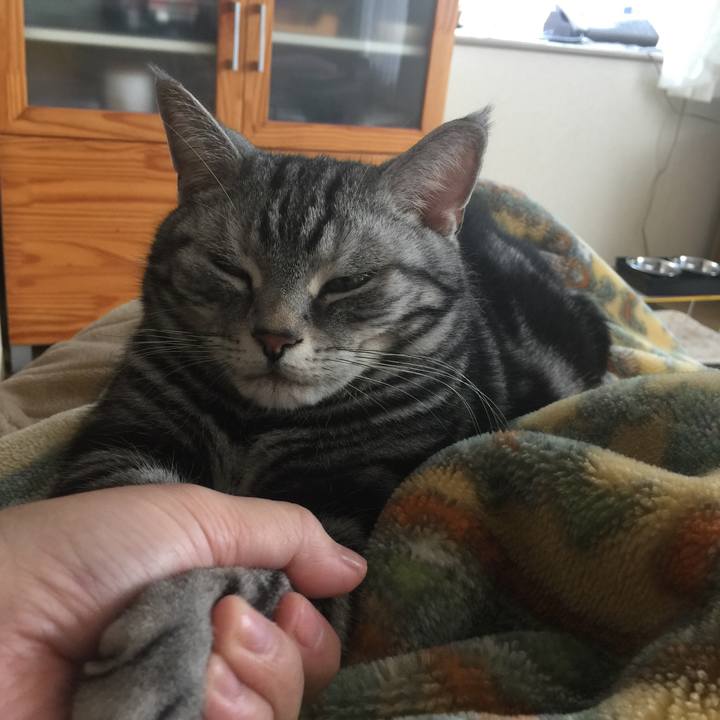 95d7b4d8 710a 4cfd 8919 7362827f8652