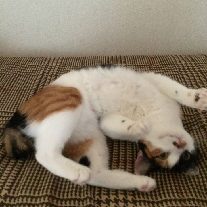 95d7d7be 76ed 426f a466 6098f368d8a7