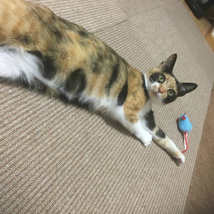 95d84e13 87d1 44e5 9dad 497c2df6a485