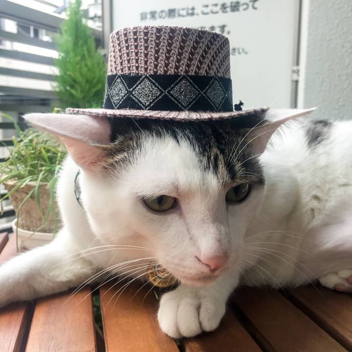 95d93497 c63f 4cf3 a2a4 7becdaed462d