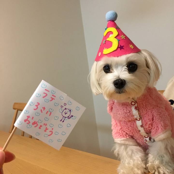 95d9d3f5 1cef 44ca ad4b b7e605f74009