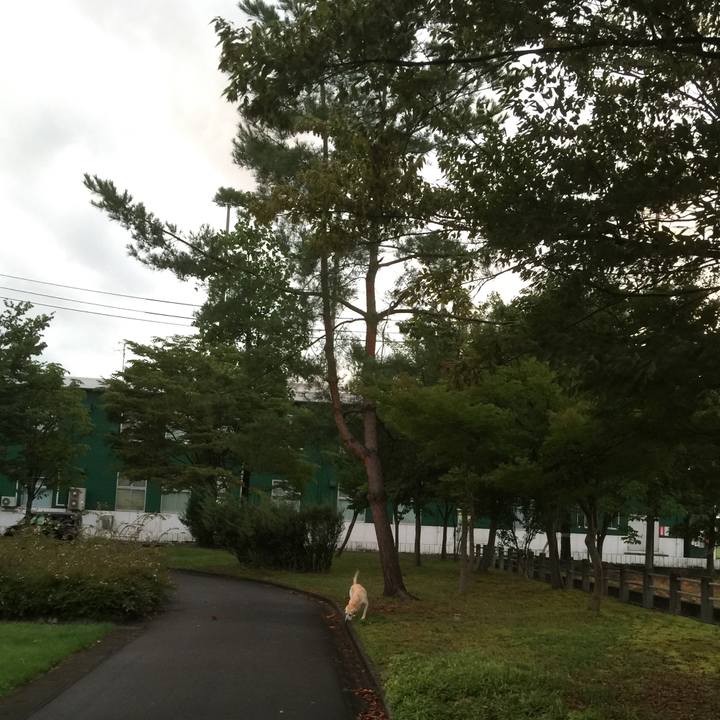 95d9d61d d65f 4a73 93a3 3156ab402229