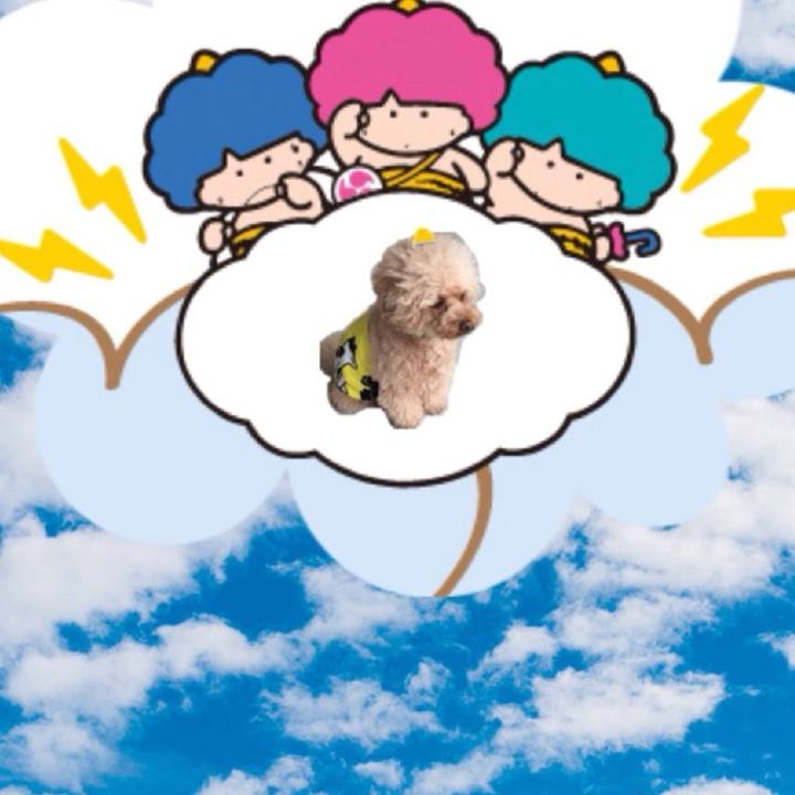 95da80f3 1bb1 4554 93a5 8cbdf21e8bcb