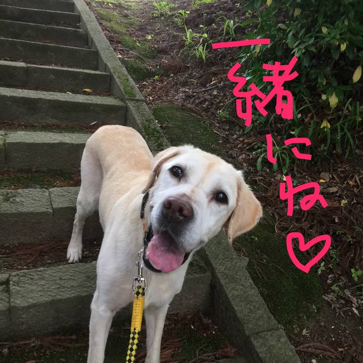 95db47b5 a2a8 4807 92bb 37a37b9b0099