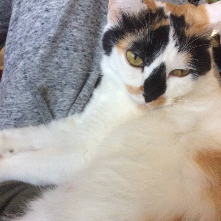 95dbc961 c3d2 40ff 83ff f21ae4e13926