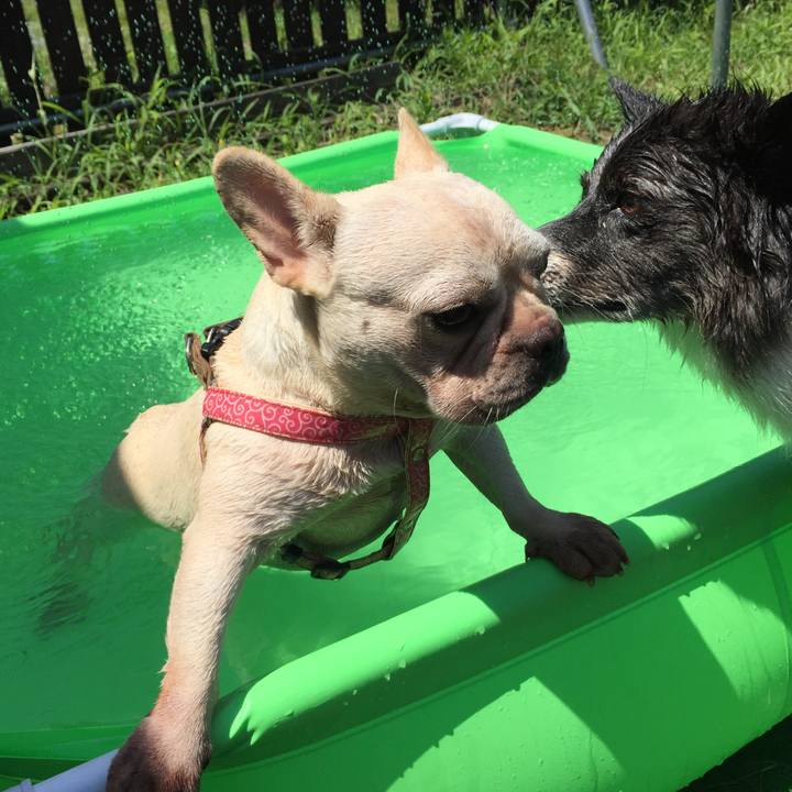 95dc20a1 4c1b 468d 99a7 dda59866e6dd