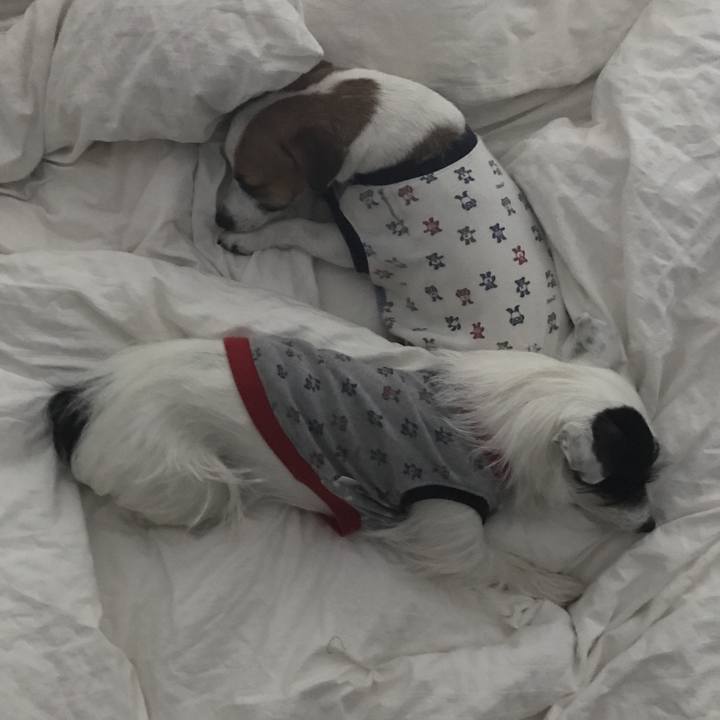 95dc5160 4839 47f3 880c 033bc82bc9cc