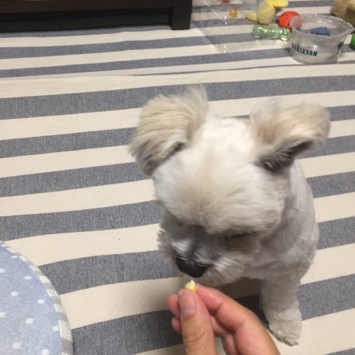 95dcfd7e 9ea5 4ec7 95ae fb394313456d