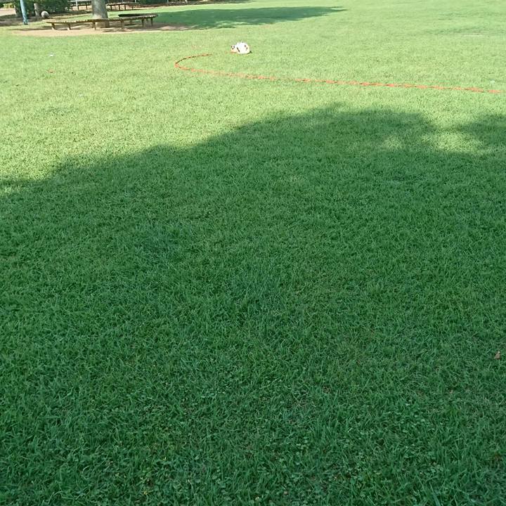 95dd988e 7bd9 4715 8562 98a445f57bb8