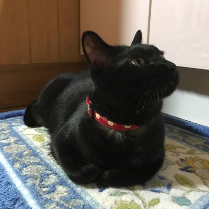 95def9b9 5a16 41ea a3ba 37cd06b80d75